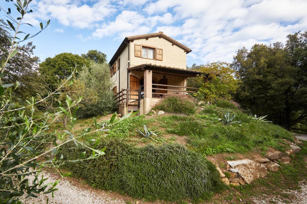 Agriturismo Boschi Di Montecalvi Suvereto Exterior photo