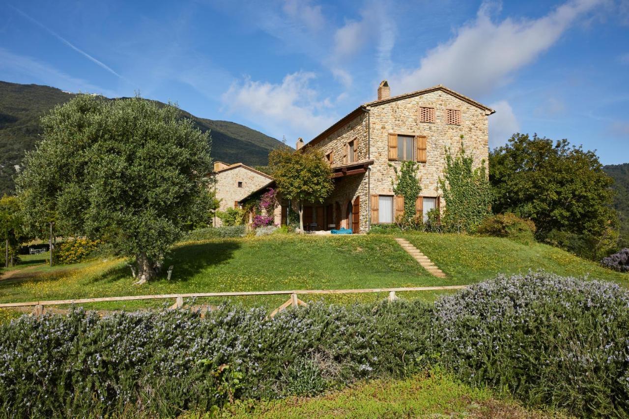 Agriturismo Boschi Di Montecalvi Suvereto Exterior photo